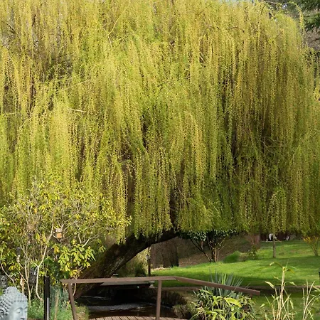 Emeraude לינה וארוחת בוקר 3*