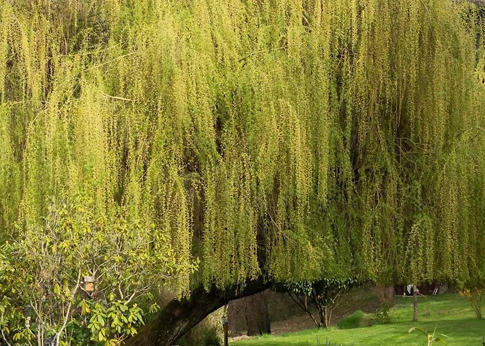 Emeraude Nocleg ze śniadaniem 3*